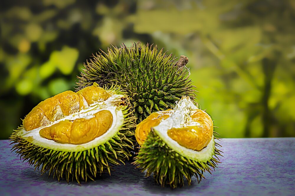 mesa-habla-showcooking-sabores-malasia-durian