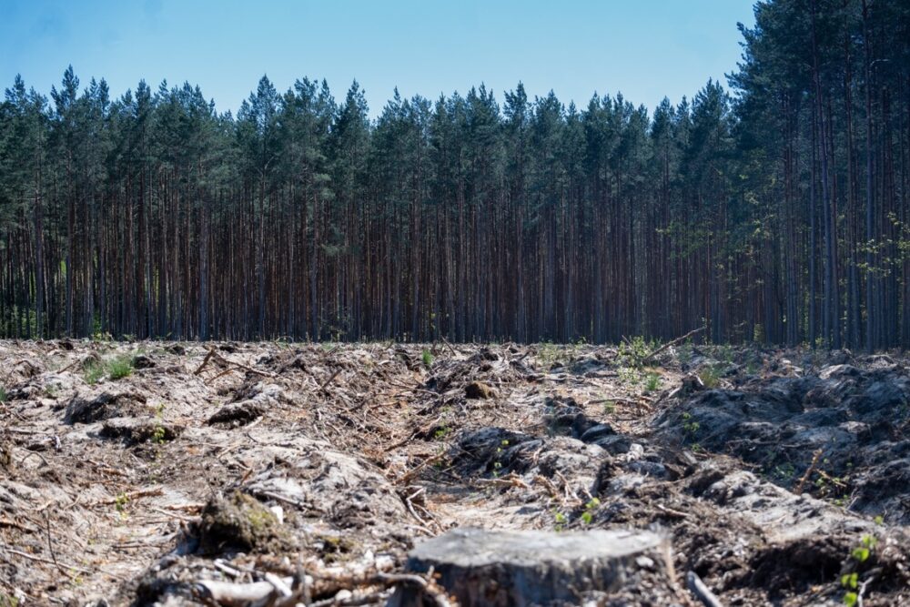 mesa-habla-union-europea-deforestacion-14