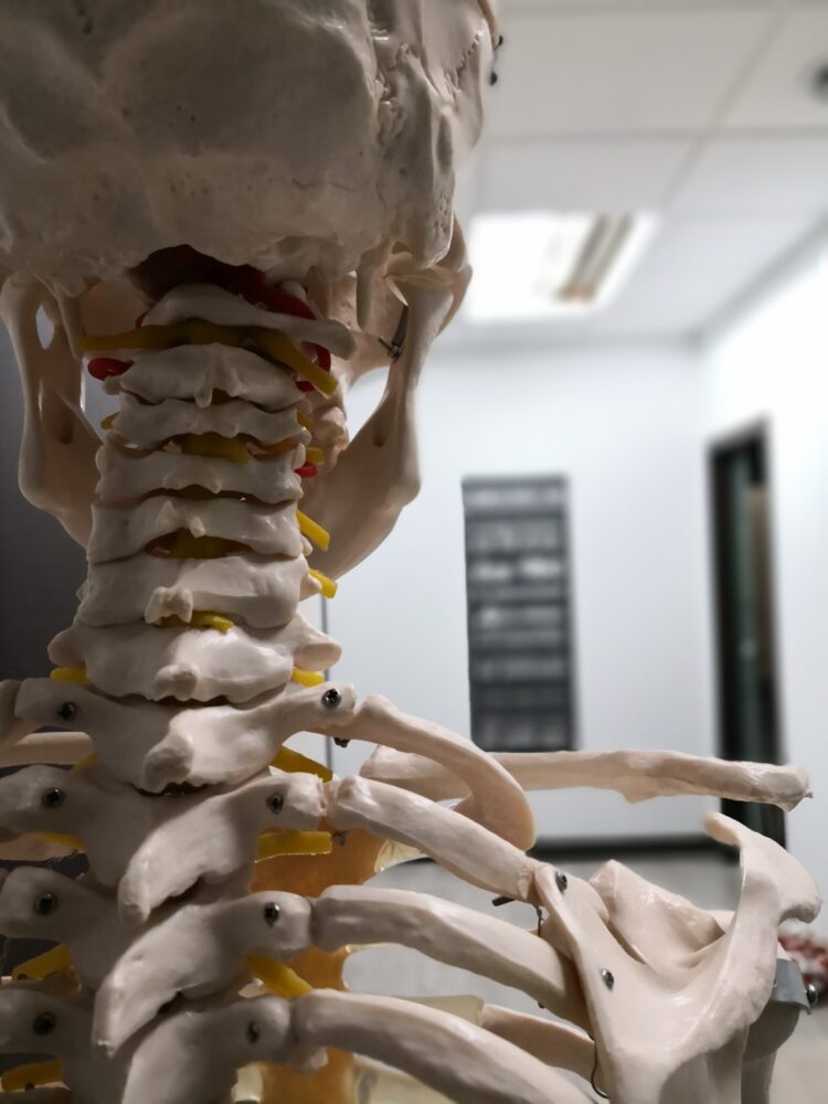 mesa-habla-fisioterapia-4